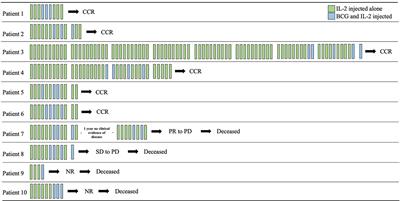 Abscopal responses in patients with metastatic melanoma involving skin and subcutaneous tissues treated with intralesional IL2 plus BCG